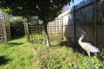 Images for Shipbourne Road, Tonbridge