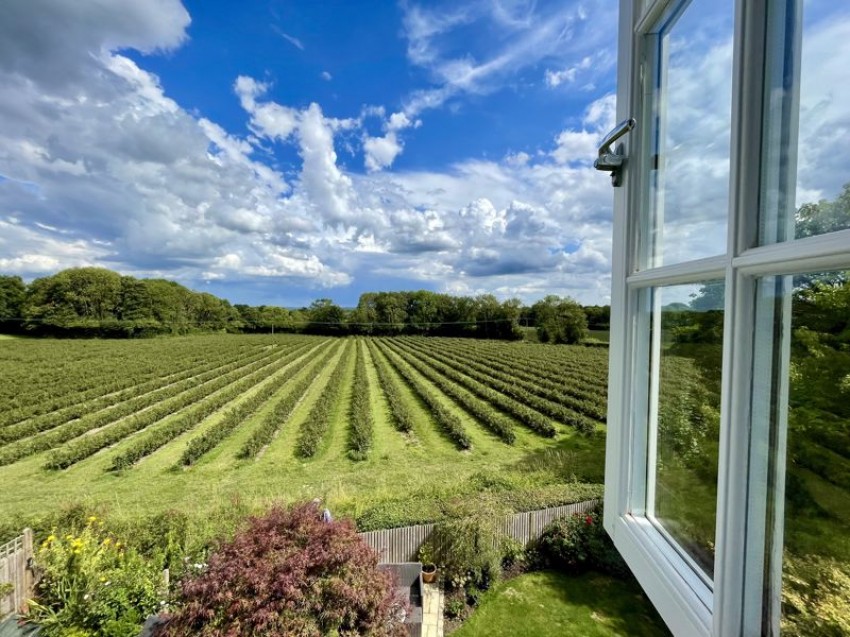Images for Webbs Orchard, Tonbridge