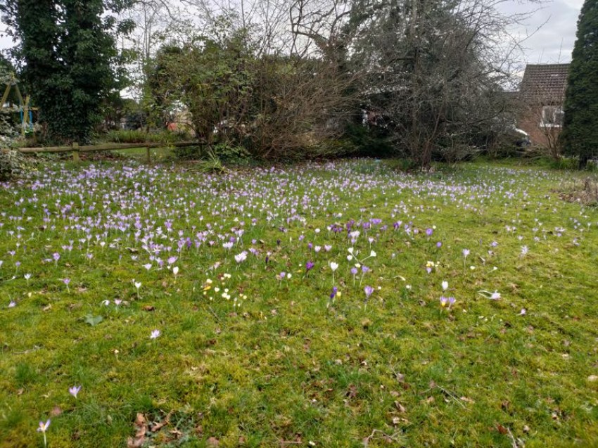 Images for Knowsley Way, Tonbridge