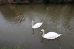 Images for Whitefriars Wharf, Tonbridge
