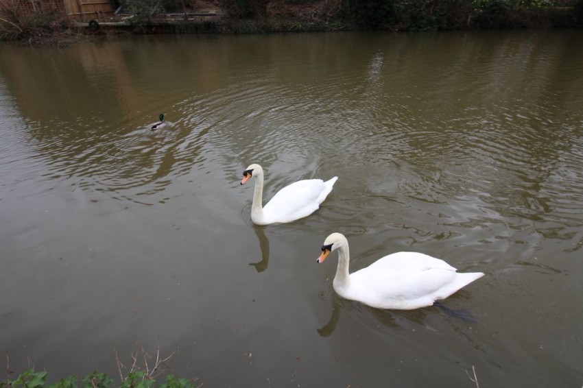 Images for Whitefriars Wharf, Tonbridge