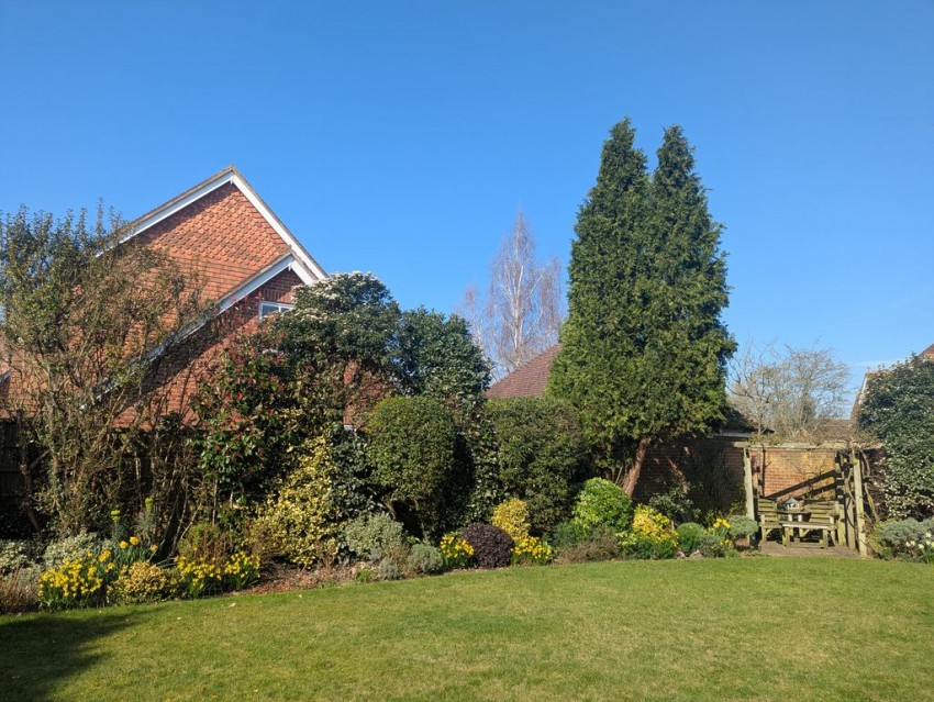 Images for The Haydens, Tonbridge